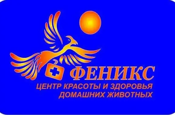 Феникс, ветеринарная клиника
