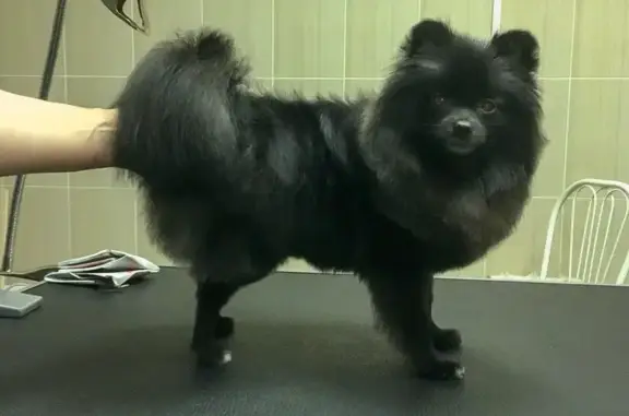 Докавет, ветеринарный центр