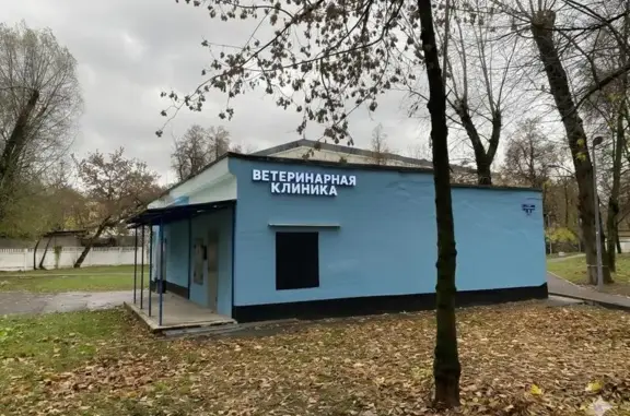 Максим, ветеринарная клиника