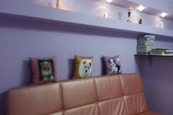 Зоосалон Пушистый стиль