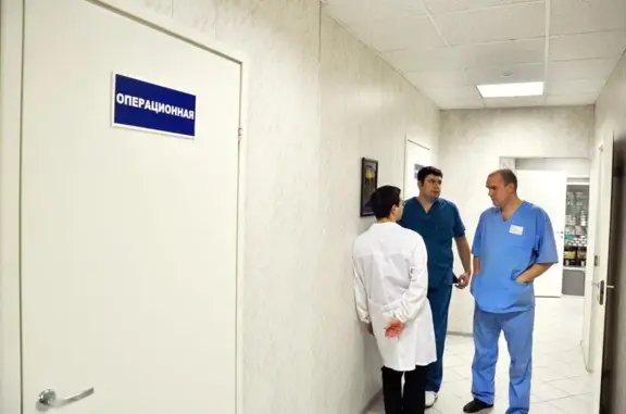 Инновет, ветеринарная клиника