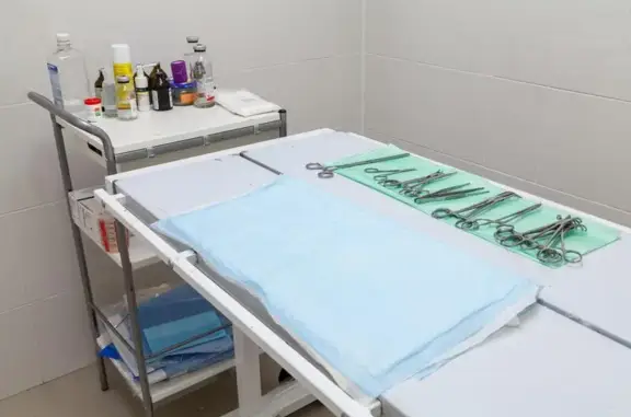 Хатико, ветеринарная клиника