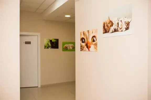 Зверополис, ветеринарная клиника