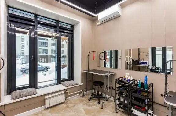 Груминг-салон Бадди в Южном Орехово-Борисово