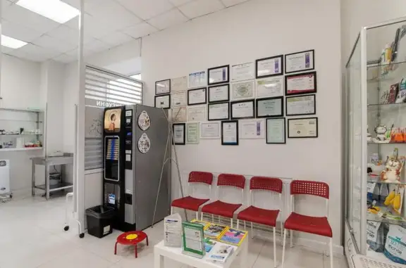 Кот+ бегемот, ветеринарная клиника