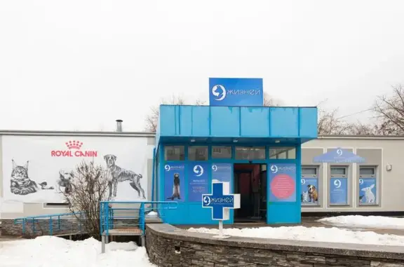 Ветеринарная клиника 9 жизней на Большой Московской улице, 67б