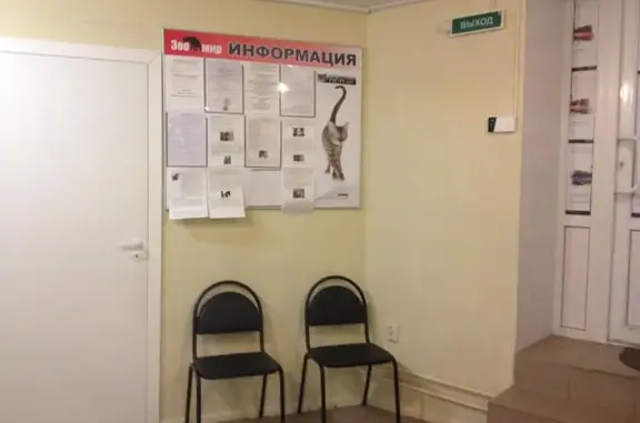 Ветеринарный центр Зоомир на проспекте Просвещения