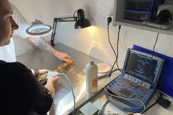 TerraLab, зооветеринарный центр