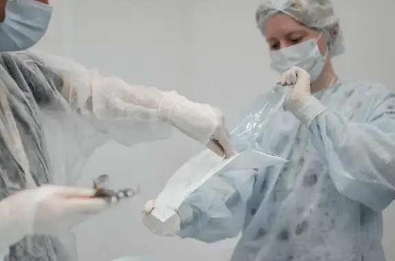 Клиника ветеринарной офтальмологии Zoo-Vision