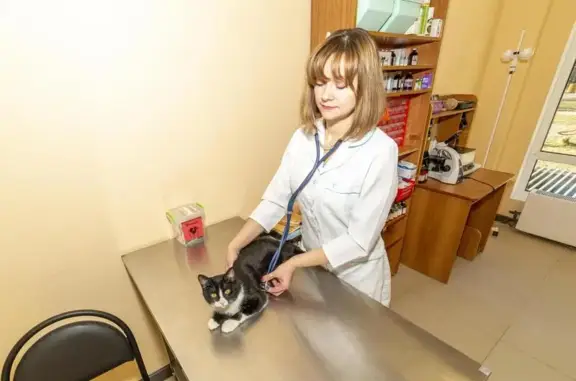 Феникс, ветеринарная клиника