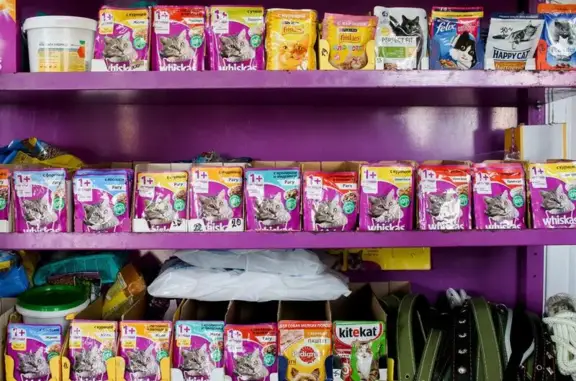 Ветеринарная клиника Доктор Zoo на Молодёжной улице в Дивеево