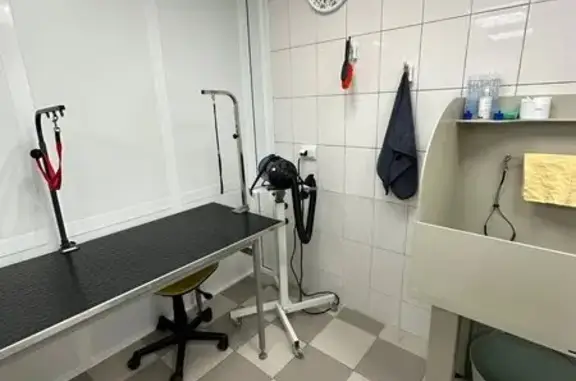 Зоогостиница и груминг-студия КОТиПЕС в Сызрани