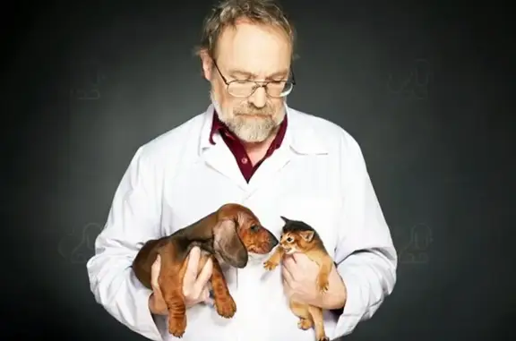 Вирион, ветеринарный центр