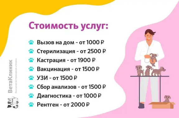 Вета, выездная ветеринарная клиника