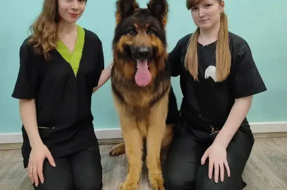 Салон по уходу за домашними животными Рыжий нос