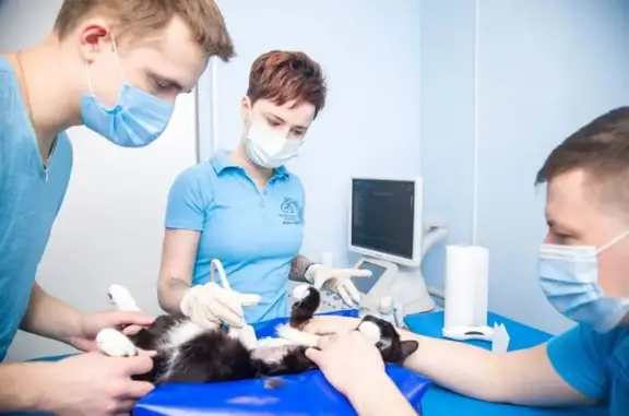 Ветеринарная клиника Дарьи Суховой на улице Мельникайте