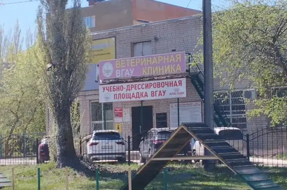 Ветеринарная клиника ВГАУ на улице Ломоносова