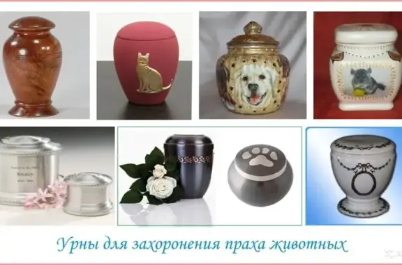 Ветеринарная клиника ГавМяу№ 1 на Ангарской улице