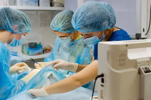 Северное сияние, ветеринарный центр