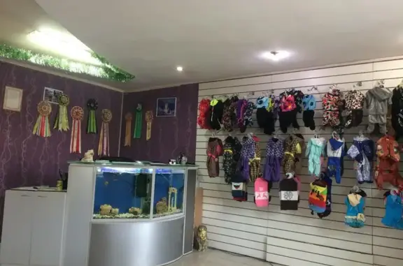 Студия красоты для животных Sweet life во Фрунзенском районе