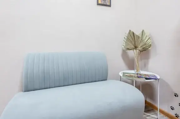 Груминг-студия Лапа В Пене на метро Алексеевская