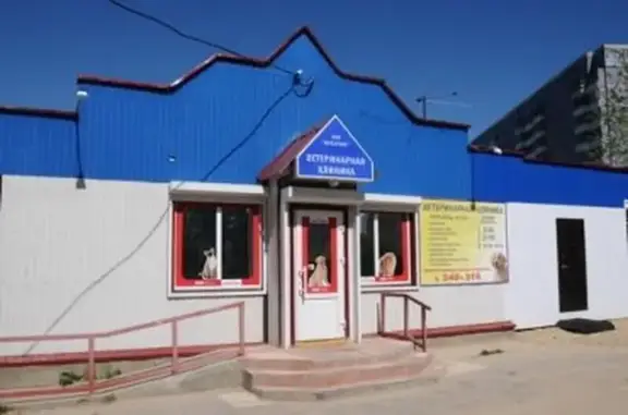 Ветеринарная клиника Ветсервис на Октябрьском проспекте