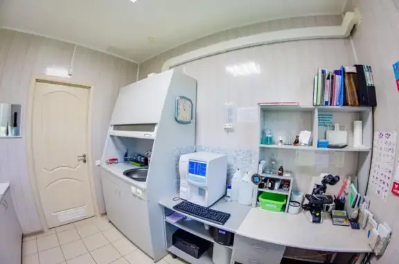 Ветеринарная клиника АЙБОЛИТ на 9-ой просеке 5-ой линии в Кировском районе