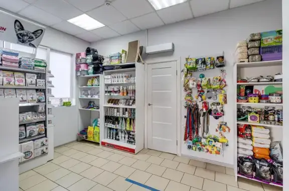 Dogtor, ветеринарная клиника