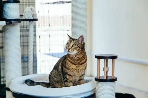 Компания Zootel.sochi на Транспортной улице