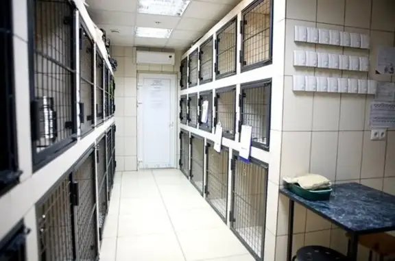 Дарвин, ветеринарный центр