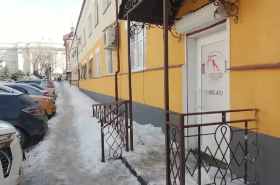 Центр льготной стерилизации животных