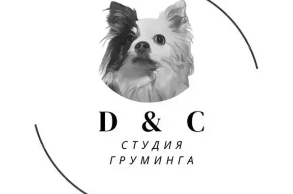 Студия груминга D&C groom на Советском проспекте