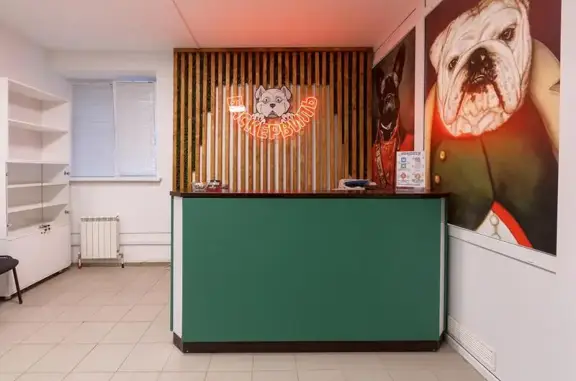 Ветеринарная клиника Баскервиль на улице Докучаева