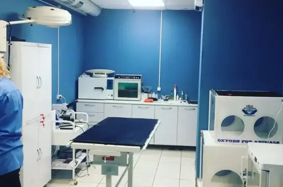 Ветко, ветеринарная клиника