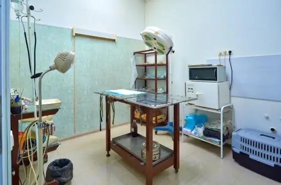 Ветеринарная клиника на улице Карбышева