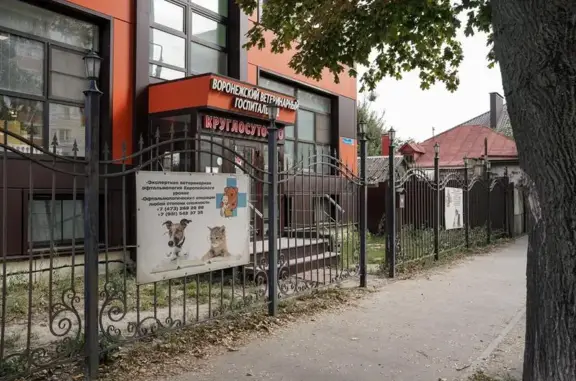 Ветеринарный госпиталь №1