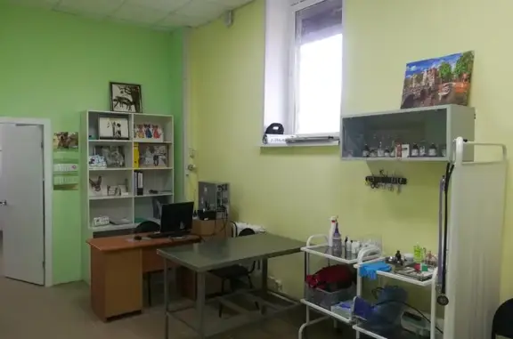 Верный Друг, центр ветеринарной помощи