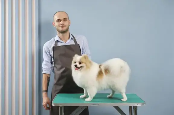 Салон Agrooming salon на Миусской улице