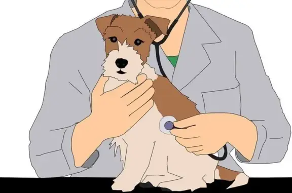 Выездная ветеринарная служба VetMedica