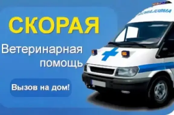Ветеринарная скорая помощь