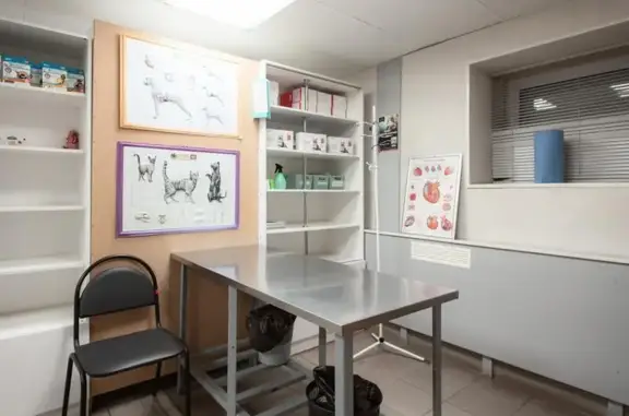 Крошка Енот, ветеринарная клиника