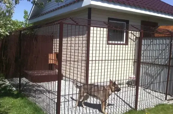 Гостиница для собак Гостиница для собак