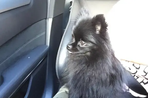 Зодиак+, ветеринарный центр