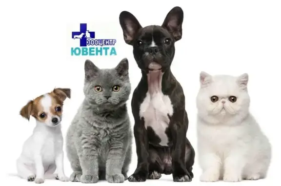 Ювента, сеть зооцентров