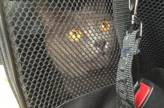 Ветеринарная клиника У охоты в Октябрьском округе