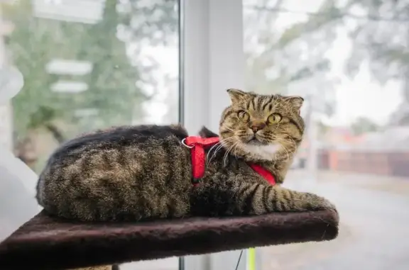 Амиго Вет, ветеринарный центр