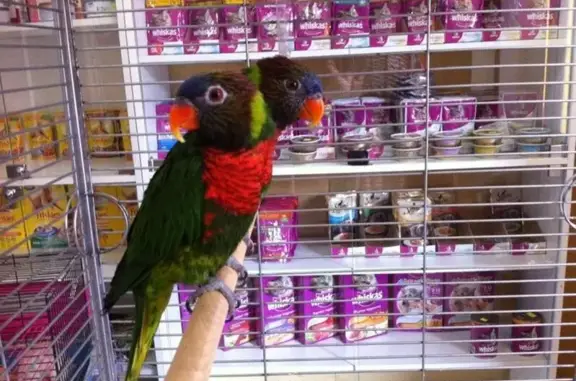 Ветеринарная клиника ВетЗооЦентр на улице Пермякова