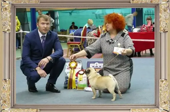 Орловский областной кинологический клуб