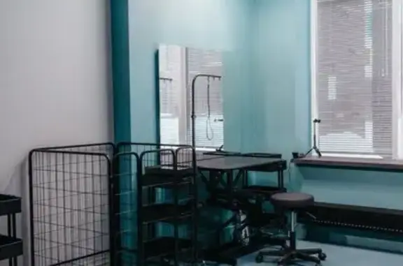 Зоопарикмахерская The Dog club