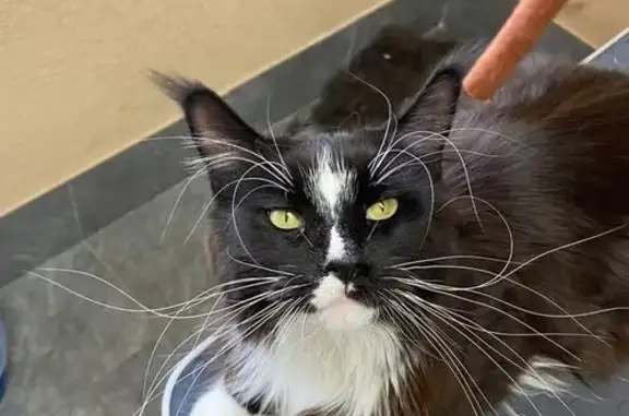 Груминг-салон Groomberdsk на Первомайской улице, 131 в Бердске